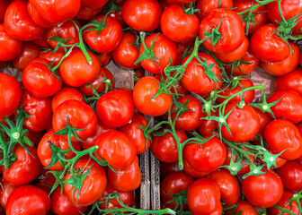 tomatoes on a green branch cherry tomato fruits on the counter of the market store healthy meal food diet snack on the table copy space food background rustic top view keto or paleo diet veggie vegan