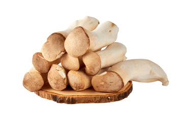 Large piles of eringi mushrooms (Pleurotus eryngii ) stacked isolated on a white background.