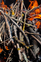 orange flame of fire while burning branches and firewood