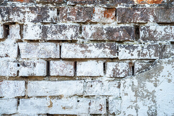 Nature relaxing video. Flowers swaying in the wind, with flying insect bees, close-up spring video of a flower meadow