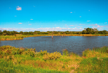Water area in Africa