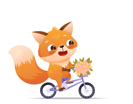 Baby fox rides a bicycle with a bouquet of flowers in a basket. Drawn in cartoon style. Vector illustration for designs, prints and patterns. Isolated on white background