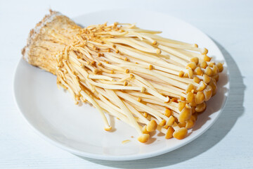 とらまき茸（とらまきたけ）、キノコの一種、えのきだけの原種に近く、茶色いきのこ）、日本産