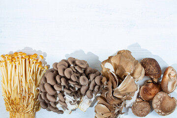 まいたけ、しめじ、とらまきたけ、まいたけのキノコ4種セット（菌活、きのこパワー、健康）