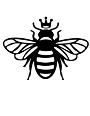 Obraz premium Queen Bee