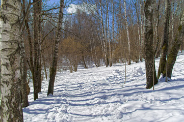 The path on the slope of the ravine in the snowy forest.