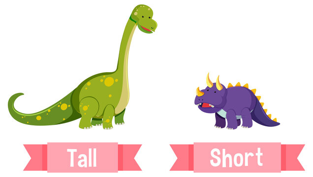 820+ Tall And Short Stock Illustrations, Royalty-Free Vector Graphics &  Clip Art - iStock