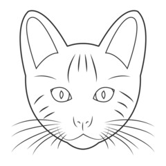Cat face coloring book. Vector illustration