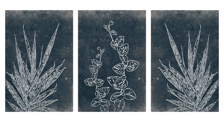 Set of 3 Printable botanical illustration. Modern rustic wall decoration for the room. Cover design, wallpaper.