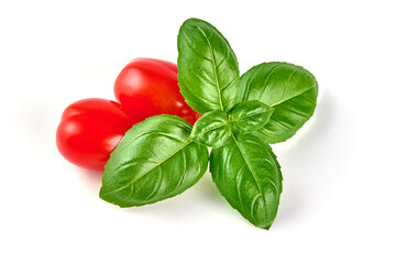Basil leaves, isolated on white background.