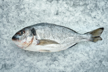 Whole, fresh dorado fish on ice. Close-up. Fresh seafood
