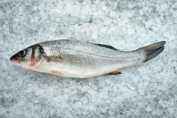 Whole, fresh mullet fish on the ice. Close-up. Fresh seafood