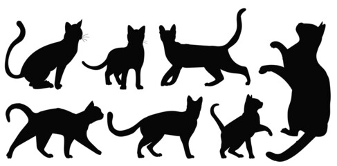 cats set silhouette, isolated on white background vector