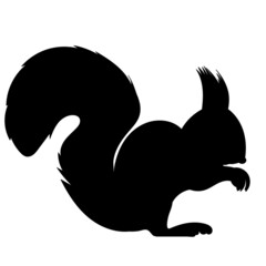 squirrel silhouette, isolated on white background vector