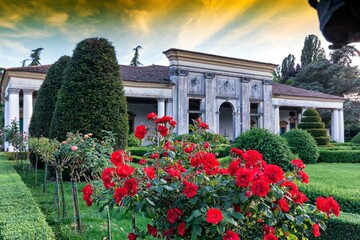 Mira, Venezia. Riviera del Brenta, giardino con rose di Villa Barchessa Valmarana
