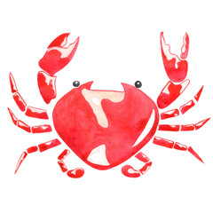 Crab watercolor illustration for decoration on marine life and seafood.