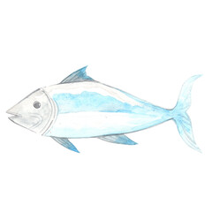 Ocean fish watercolor illustration for seafood and marine life concept.