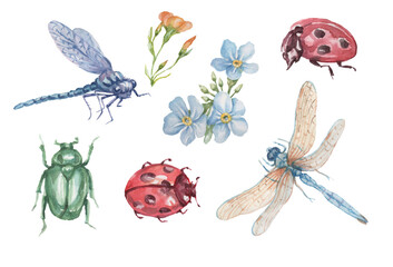 dragonfly beetle ladybug insects and flowers geranium and forget-me-nots beautiful spring clipart hand drawn watercolor set separately on white background nature plants © Paint_art