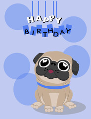 Greeting card, banner, icon. Birthday card. Pug on blue background. Happy Birthday.