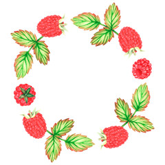 Raspberry wreath. Watercolor illustration. Isolated on a white background. For design.
