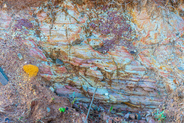 Perfil de solo argiloso