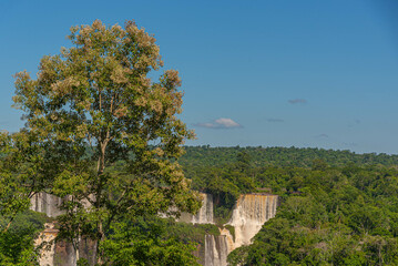 Fototapeta na wymiar Iguaçu River National Park in Brazil