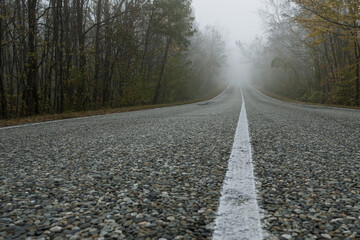 An asphalt road with a straight, solid white line runs off into the distance through an autumn foggy forest. An enigmatic landscape.