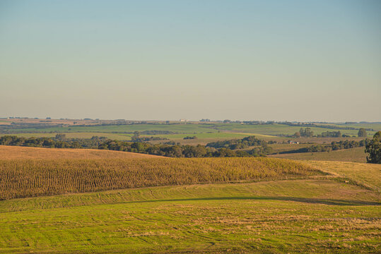 Paisagem rural no bioma pampa no sul do Brasil