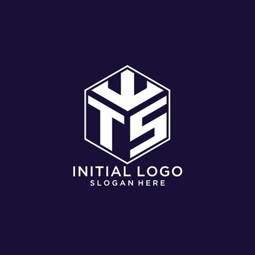 Initials TS logo hexagon shape, creative geometric logo design concept