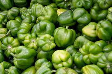 Fototapeta na wymiar green bell peppers