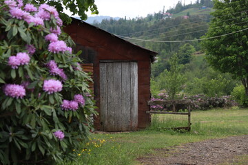 Fototapete bei efototapeten.de bestellen   