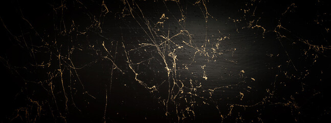 abstract art photography black background painting with gold veins texture