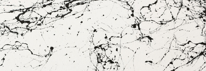 abstract art photography white background painting with black veins texture