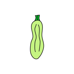 Doodle colored zuccini.