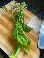 Sprig of fresh basil on wooden chopping board