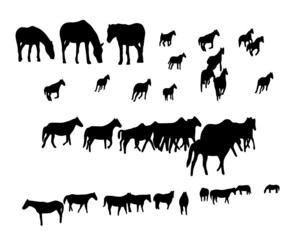 Set of horse silhouette in line art style.Horse vector by hand drawing.Horse tattoo on white background.Black and white horse illustration. Illustration of a herd of horses running in the meadow
