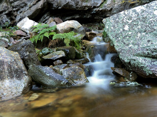 Long exposure of a river rushing over rocks in a deep canyon
