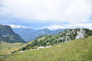 Plaines de montagne