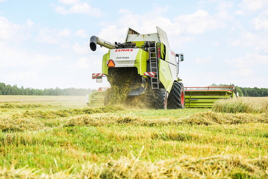  Tula,Russia - SEPTEMBER 1, 2021 harvester Claas harvesting on the field