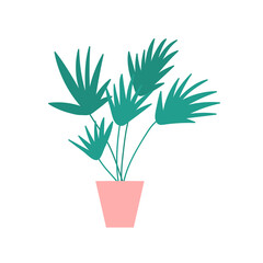 House plant vector illustration. Flat style homeplant clip art