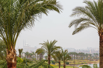 Panorama of rainy and foggy city with a mosque Nile and palm trees. Cairo, Egypt