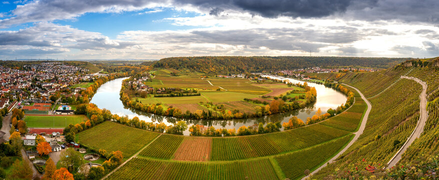 Panormasicht vom Käsbergkanzel im Herbst, Sicht auf Weinberge und 180° Neckarschleife, - Mundelsheim, Baden-Württemberg, Deutschland
