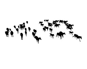 Set of horse silhouette in line art style.Horse vector by hand drawing.Horse tattoo on white background.Black and white horse illustration. Illustration of a herd of horses running in the meadow