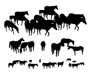 Set of horse silhouette in line art style.Horse vector by hand drawing.Horse tattoo on white background.Black and white horse illustration. Illustration of a herd of horses running in the meadow