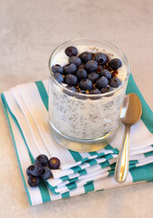 Chia seed pudding with blueberry