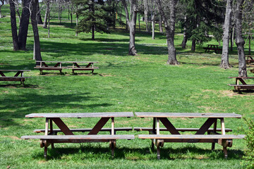 bench in the park