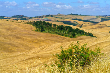Fototapeta na wymiar Rural landscape near Asciano, Tuscany, Italy