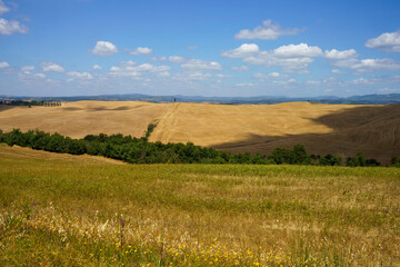 Rural landscape in Val d Orcia, Tuscany, Italy