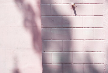 Shadows on the pink wall.