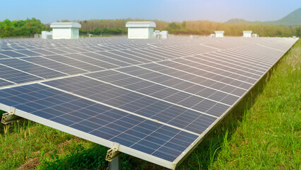 Background of Photovoltaic Cell Farm or Solar Panels Field, eco friendly and clean energy.